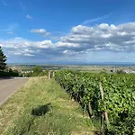 Au Pied Du Bischenberg * Bischoffsheim
