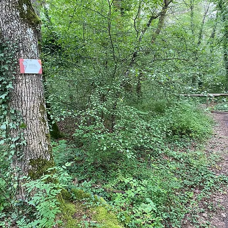 Au Pied Du Bischenberg * Bischoffsheim