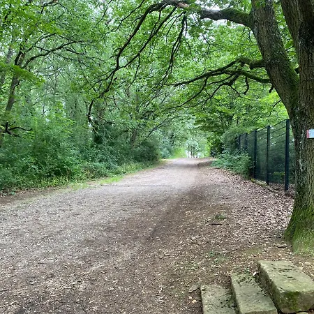 Au Pied Du Bischenberg 別荘