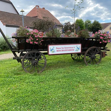 別荘 Au Pied Du Bischenberg *