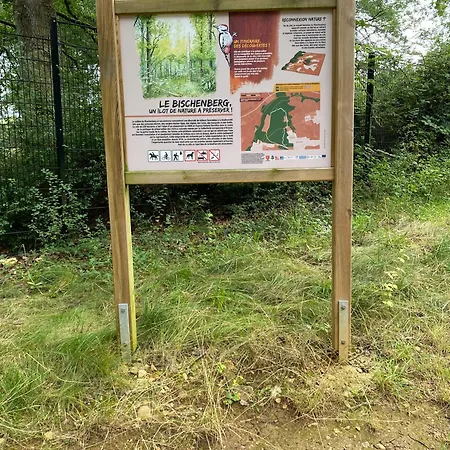 Au Pied Du Bischenberg *