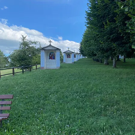 Au Pied Du Bischenberg * Bischoffsheim