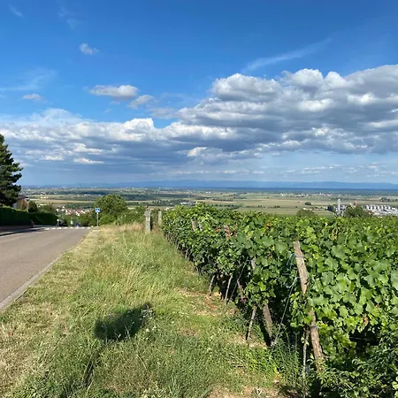 Au Pied Du Bischenberg * Bischoffsheim