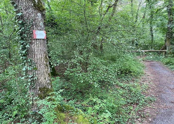 Au Pied Du Bischenberg * Bischoffsheim