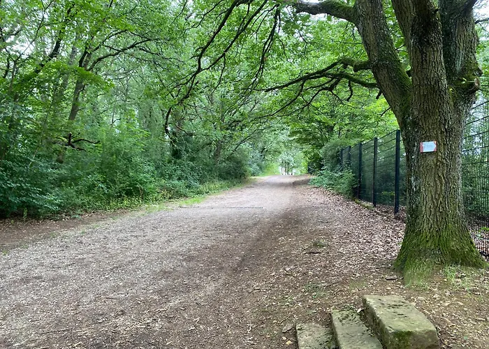 Au Pied Du Bischenberg بيت للعطل
