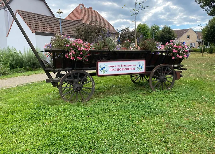 بيت للعطل Au Pied Du Bischenberg *