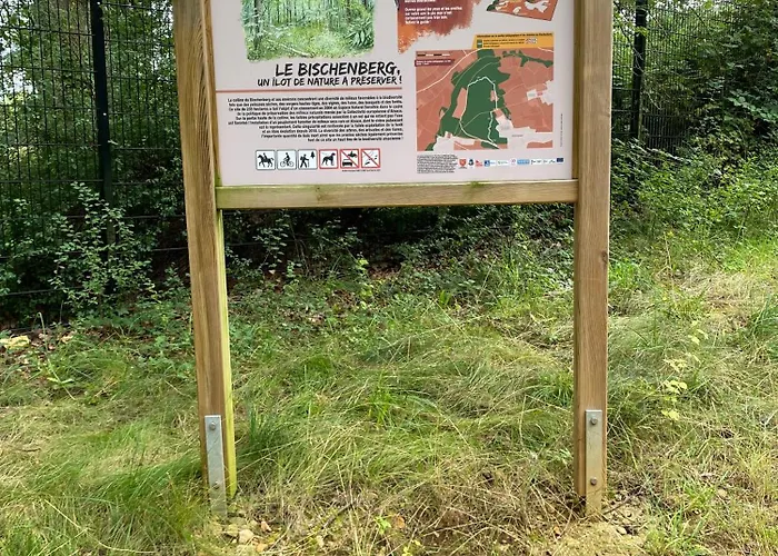 Au Pied Du Bischenberg *
