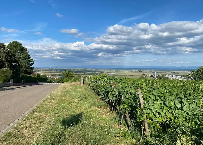 Au Pied Du Bischenberg * Bischoffsheim